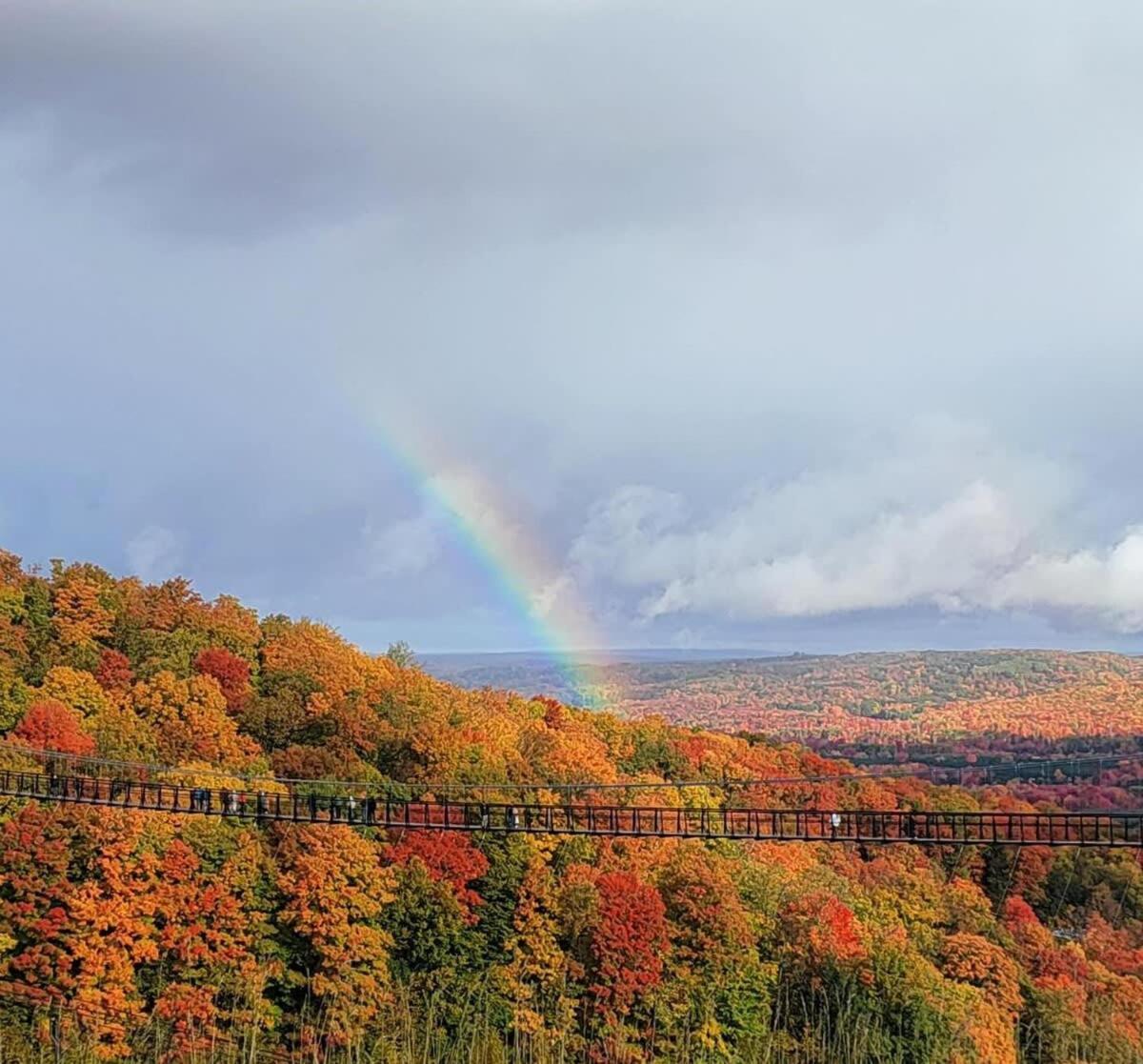 Boyne Falls Boyne Mountain Condo -Sleeps 12 מראה חיצוני תמונה